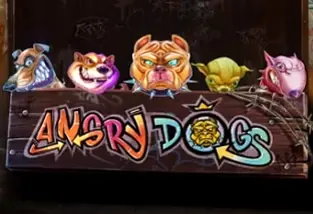 Angry Dogs